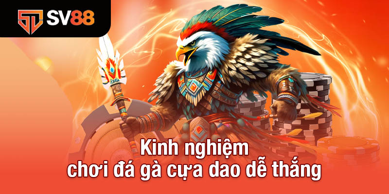 Đá Gà Cựa Dao - Môn Thể Thao Kịch Tính Và Đầy Thách Thức 4 Kinh nghiệm chơi đá gà cựa dao dễ thắng