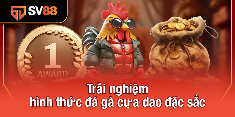 Đá Gà Cựa Dao - Môn Thể Thao Kịch Tính Và Đầy Thách Thức 2 Trải nghiệm hình thức đá gà cựa dao đặc sắc