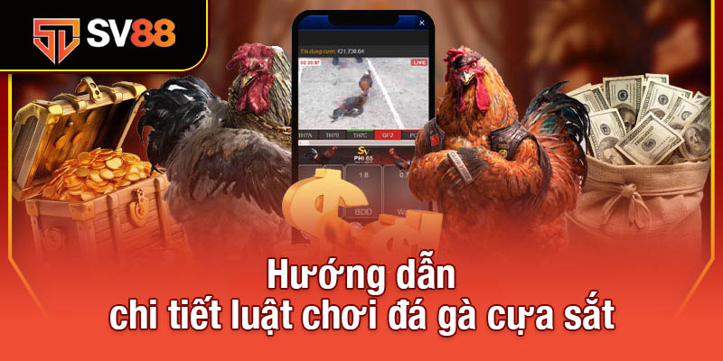 Đá Gà Cựa Sắt - Sự Kết Hợp Hoàn Hảo Giữa Chiến Thuật Và Sức Mạnh 3 Hướng dẫn chi tiết luật chơi đá gà cựa sắt
