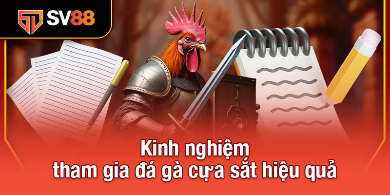 Đá Gà Cựa Sắt - Sự Kết Hợp Hoàn Hảo Giữa Chiến Thuật Và Sức Mạnh 4 Kinh nghiệm tham gia đá gà cựa sắt hiệu quả