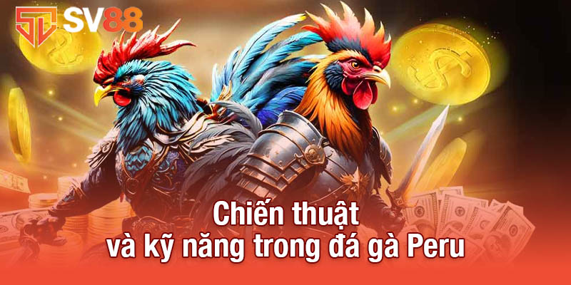 Đá Gà Peru Tại Sv88 - Sự Kịch Tính Và Chiến Thuật Đỉnh Cao 4 Chiến thuật và kỹ năng trong đá gà Peru