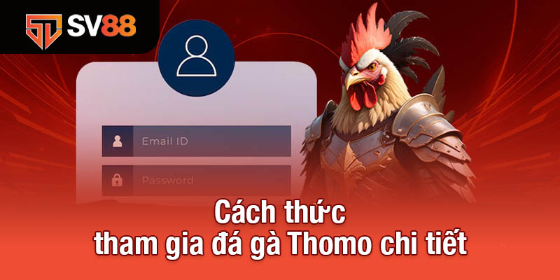 Đá Gà Thomo - Đấu Trường Kịch Tính, Mỗi Trận Là Một Siêu Phẩm 3 Cách thức tham gia đá gà Thomo chi tiết
