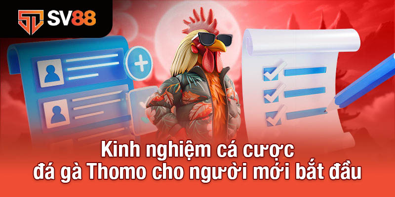Đá Gà Thomo - Đấu Trường Kịch Tính, Mỗi Trận Là Một Siêu Phẩm 4 Kinh nghiệm cá cược đá gà Thomo cho người mới bắt đầu